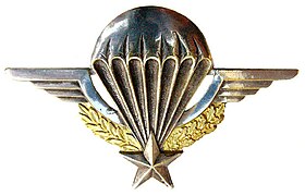 French and Foreign Legion Parachute Brevet.