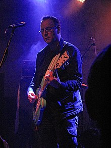 Newman performing in November 2011