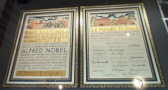 The Nobel Prize diploma of Dale, displayed in the Royal Society, London.