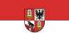 Flag of Salzland