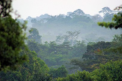 Tropical rainforest climate; forests and woodlands in the Ashanti region