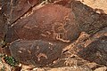 Petroglyphs from Mount Mihya in the Negev (Lipa Gal Lookout near Avdat) depicting horned animals, probably ibex
