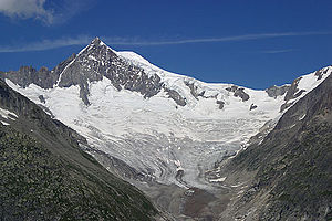 Mittelaletschgletscher und Aletschhorn