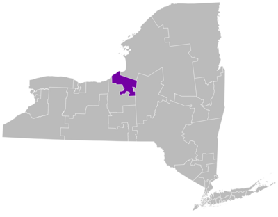 NY Senate District 50