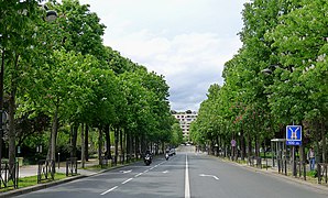 The Chausée de la Muette, in the 16th Arrondissement of Paris. By 1868 Jean-Pierre Barillet-Deschamps and his gardeners had planted over a hundred thousand trees along the new boulevards of Paris.