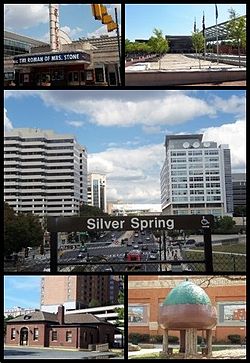 Clockwise from top: AFI Silver, Veteran's Plaza and the civic building, Downtown Silver Spring from the Metro station, Acorn Park, Baltimore and Ohio Railroad Station