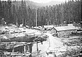 A log pond supplied by railway in Sugar Pine, California around 1920.