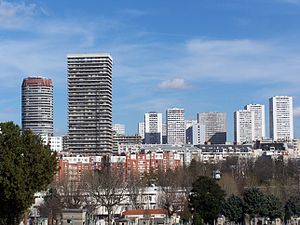 Towers in the 13th arrondissement (1970s)
