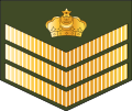 Staf sarjan (Royal Brunei Land Force)[22]