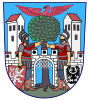 Coat of arms of Hostinné