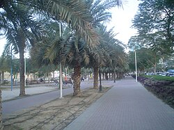 Public park in Jafilia