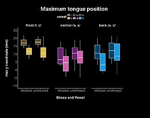 Maximum tongue positions when pronouncing stressed and unstressed Bulgarian vowels