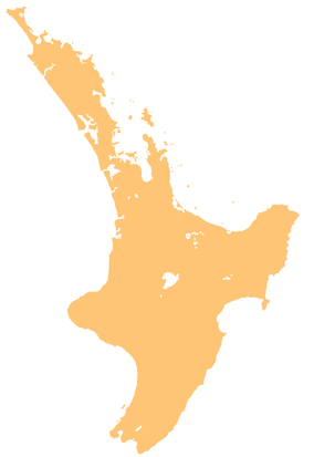 New Zealand North Island relief map