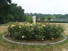 Stele with roses at Bad Liebenwerda, Germany
