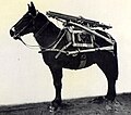 Mule with the recoil mechanism