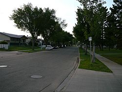A residential street in Elmwood