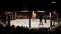 Image 31An octagon cage used by the UFC. (from Mixed martial arts)