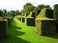 Topiary garden at Manor d'Eyrignac, France