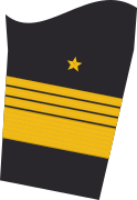 Ärmelabzeichen der Jacke (Dienstanzug) eines Admirals (Truppendienst)