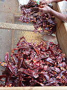 Removing seeds and pith from dried chilies in San Pedro Atocpan, Mexico