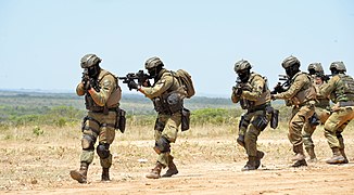 Brazilian Marines SOF (COMANF)