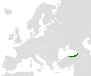 Region of Pontus
