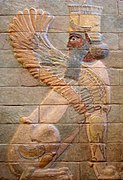 Winged sphinx from the palace of Darius the Great during Persian Empire at Susa (480 BC)