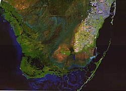 A color satellite image of the southern Everglades, Florida Bay, Atlantic Ocean, and Gulf of Mexico; the Everglades are green with large sections of blue water, with some brown raised areas and the southernmost tip of the South Florida Metropolitan Area in white
