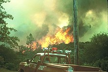Very large, bright yellow flames are visible above green treetops in the background, with a red Cal Fire pickup truck visible in the foreground