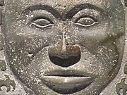 Closeup view of the human face