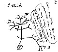 Image 9Charles Darwin's first sketch of an evolutionary tree from his First Notebook on Transmutation of Species (1837) (from History of biology)