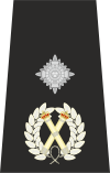 UK Police Deputy Chief Constable Epaulette