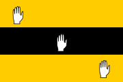 Regimental flag