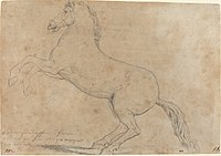 Jacques-Louis David, An Antique Sculpture of a Horse, 1780, graphite laid on paper (National Gallery of Art)