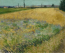 Korenveld - s0146V1962 - Van Gogh Museum