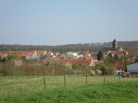 A general view of Metzeresche