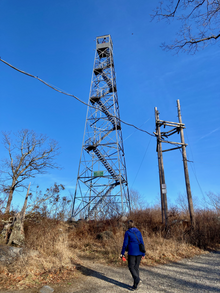 Ninham mountain fire tower in January 2022 with bare tree and brown grasses/bushes and woman looking up at it