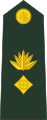 Bangladesh Army (Lieutenant Colonel)