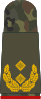 Generalmajor (field suit)