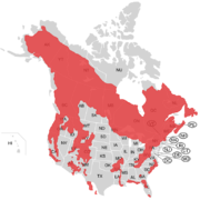 Verbreitungsgebiet des Amerikanischen Schwarzbären