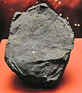 Murchison meteorite specimen at the National Museum of Natural History in Washington, United States