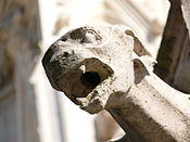 Gargoyle of Notre-Dame d'Amiens, France