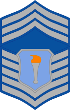 Rank insignia of a US Air Force Junior ROTC Cadet Chief Master Sergeant