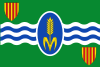 Flag of Vencillón/Vensilló
