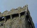 Maschikulis am Wehrgang von Blarney Castle (Irland)