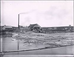 Exploits River Lumber and Pulp Company