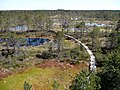 Image 34Viru Bog in Lahemaa National Park, Estonia, which is rich in raised bogs (from Bog)