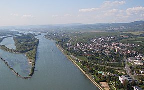 Der Rhein bei Erbach im Rheingau mit der größten Rheininsel Mariannenaue