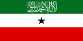 The flag of Somaliland, a charged horizontal triband.