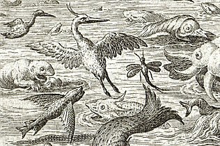 Mayfly by Jan Sadeler after Maerten de Vos, detail from The Fifth Day: The Creation of the Birds and Fishes, c. 1587